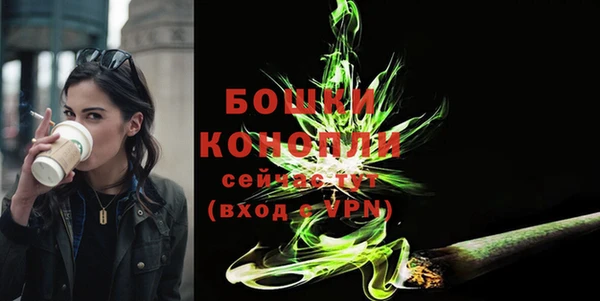 стафф Новозыбков