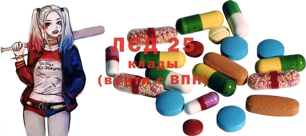 стафф Новозыбков