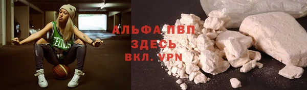 Альфа ПВП Новодвинск
