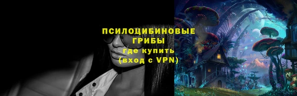 стафф Новозыбков