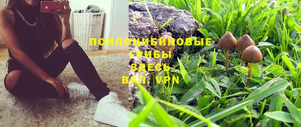 Альфа ПВП Новодвинск
