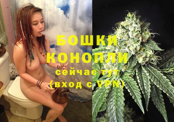 стафф Новозыбков