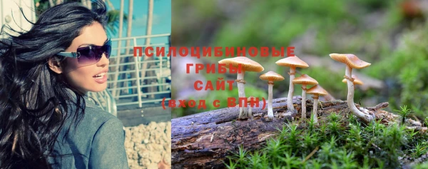 марки lsd Новокубанск