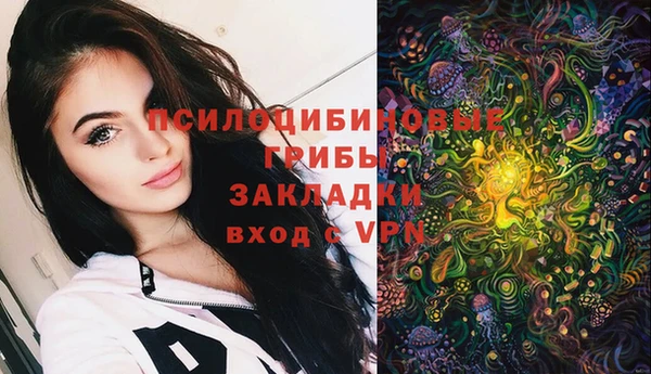 Альфа ПВП Новодвинск