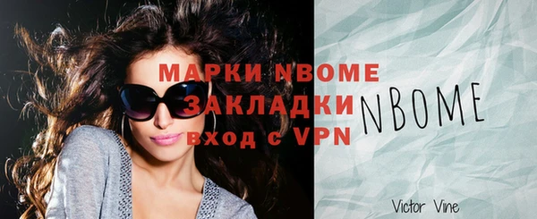 стафф Новозыбков