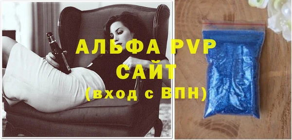стафф Новозыбков