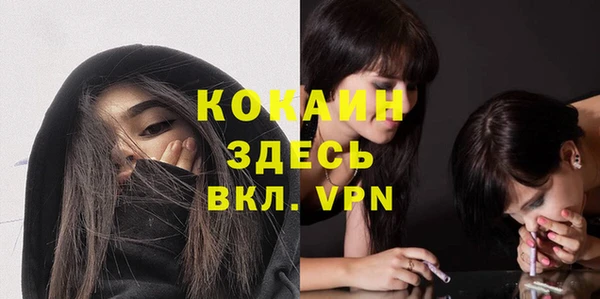 стафф Новозыбков