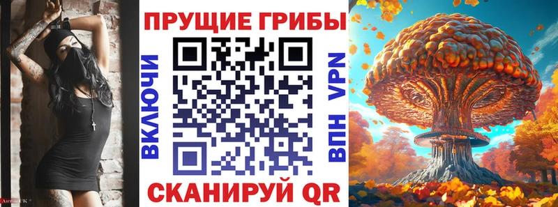 Купить  Славгород  Галлюциногенные грибы MAGIC MUSHROOMS 